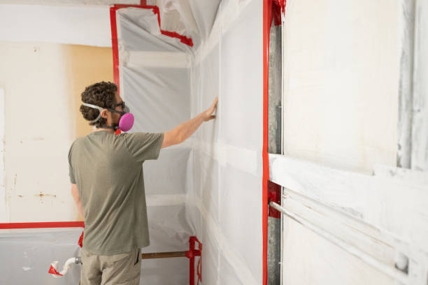 Best Mold Damage Restoration  in Three Lakes, FL